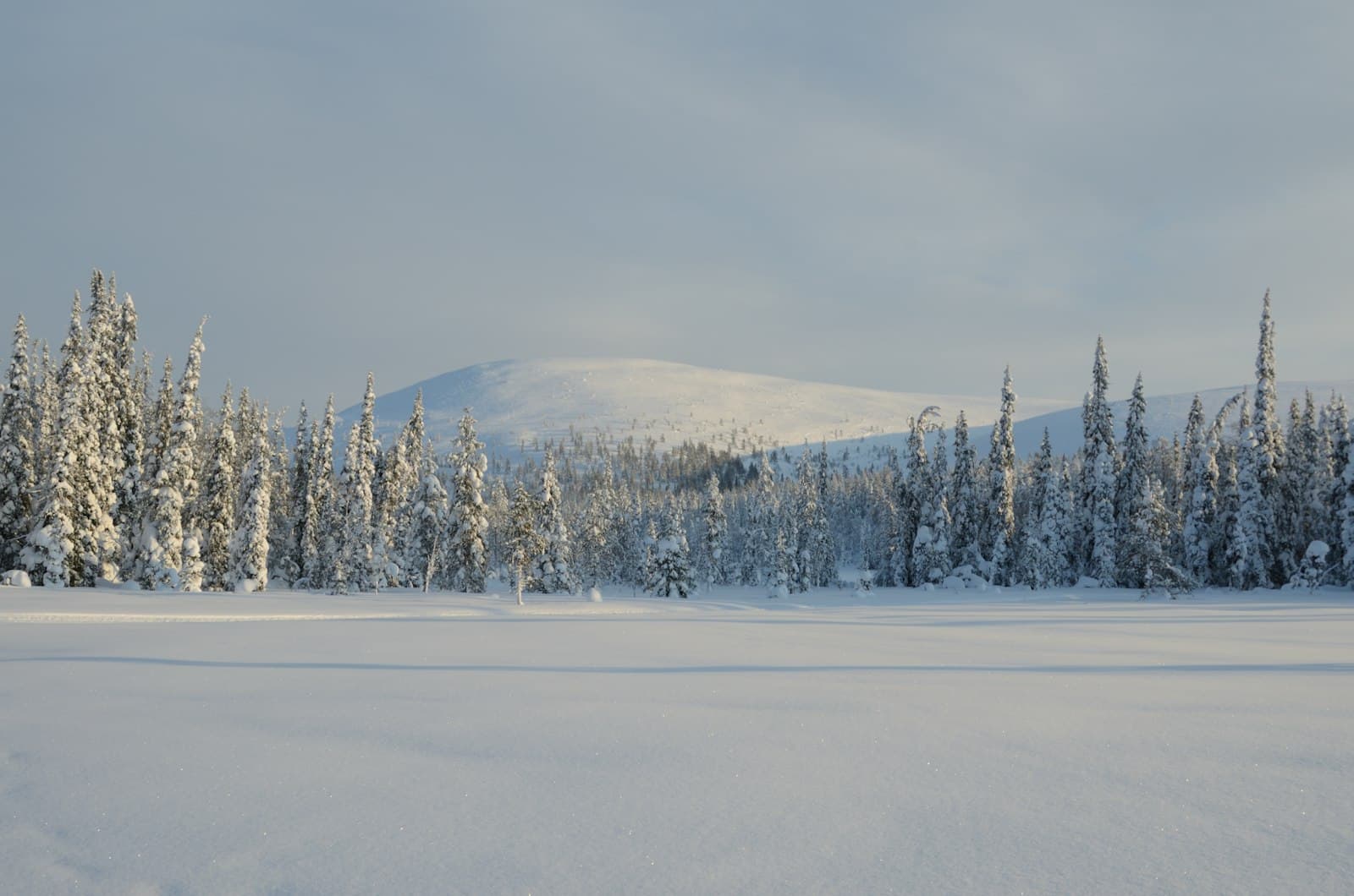 Ylläs : guide complet de la plus grande station de ski de Laponie finlandaise