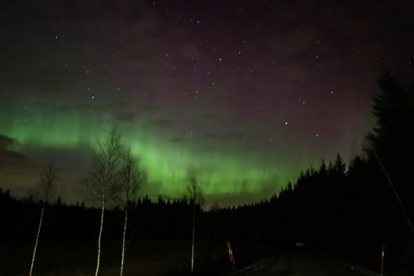 Abisko : le meilleur spot d'aurores boréales d'Europe ? Notre guide complet